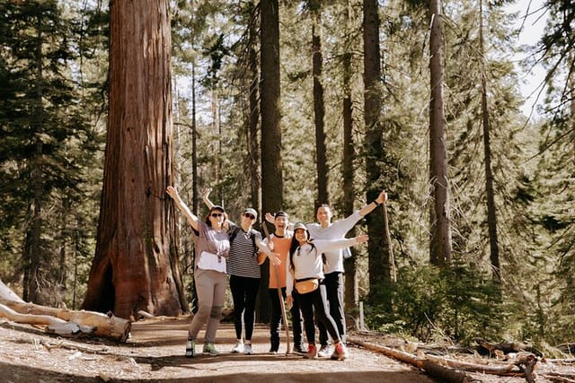 Yosemite National Park & Giant Sequoias 2-Day Semi-Guided Tour - Photo 1 of 25